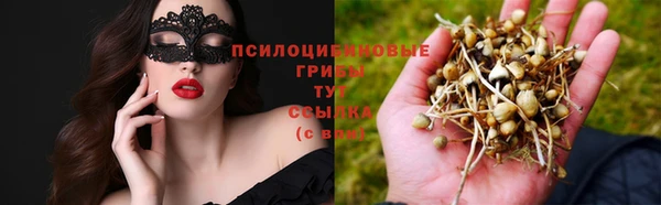 MDMA Коряжма