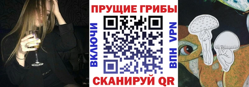 Купить  Новочеркасск  Псилоцибиновые грибы GOLDEN TEACHER 